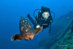 Diver with Fish | Copyright © Frank Schneider