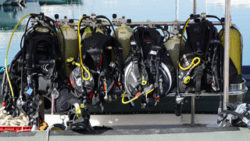 Copyright © pixabay