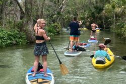 A group of people waves on a SUP | Copyright © Paddeln macht Spass 