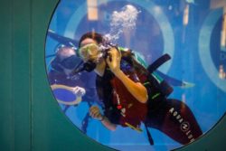 Copyright © Messe Düsseldorf | C. Tillmann