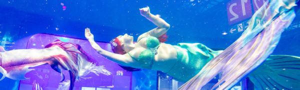 Copyright © Messe Düsseldorf | C. Tillmann