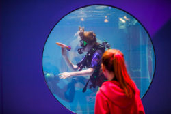 Taucher im Tauchturm zu boot Düsseldorf @Copyright C. Tillmann