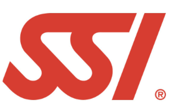 Logo SSI © SSI