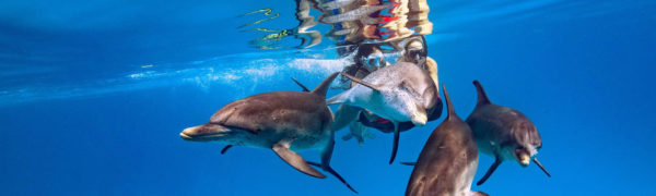 Behind the Mask - Foto: © Timo Dersch