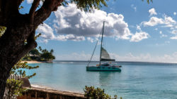 Copyright © pixabay