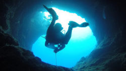 Copyright © pixabay