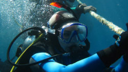 Copyright © kormandallas via pixabay