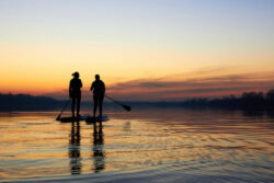 Golden autumn | Copyight © watcherfox | Adobe Stock 