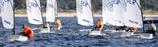 Goldener Opti - Foto: © DODV