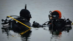 Copyright © pixabay