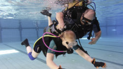 Support association of diving for the disabled in Germany e.V. Image: © http://www.fbtd.de