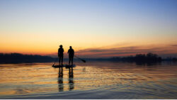 Paddler auf SUP | Copyight © watcherfox | Adobe Stock