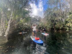 A woman on a SUP  | Copyright © Paddeln macht Spass 