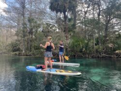 Two women on a SUP | Copyright © Paddeln macht Spass 