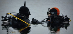 Photo: Never without a dive buddy