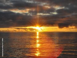 Copyright © joya-sailing.com | C. Nelles