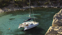 Copyright © Pantaenius