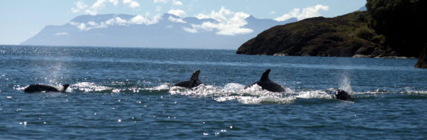 love your ocean © MD, ctillmann