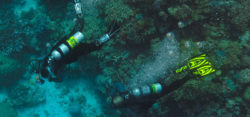 Gas customer Nitrox - Photo: Nitrox dive