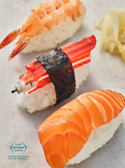 Bild: Pacific Garbage Screening