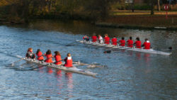 Copyright © pixabay