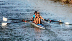 Copyright © pixabay