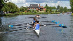 Copyright © RonPorter Pixabay