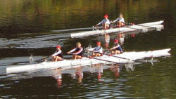 Copyright © pixabay