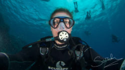 Tauchgruppe in Marsa Alam, Ägypten / Foto: © Sarah_Shagra