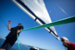 Sailing tips for beginners / Picture : Pixaby