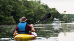 Copyright © pixabay