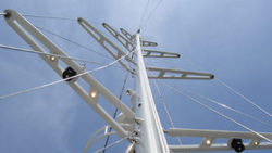 Copyright © Seebeer