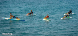 Stand Up Paddling - Fitness / © paddlefitTM