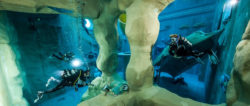 Diving & School - Indoor diving lessons in monte Mare / Foto: (c) Monte Mare