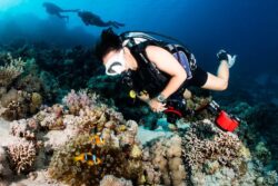 Diver under water | Copyright © Bettina Winert