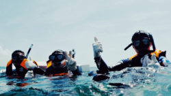 Copyright © pixabay