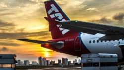 Copyright © pixabay