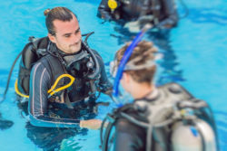 Copyright © Elizaveta Galitckaia via shutterstock