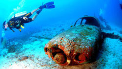 Copyright © pxhere.com