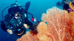 Foto: Tauchen im See