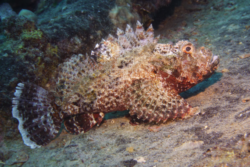 Copyright © Bettina Winert