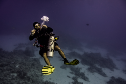 Copyright © Bettina Winert