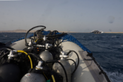 Copyright © Bettina Winert