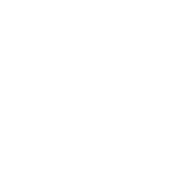 Icon: Car