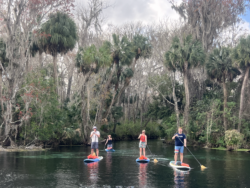 People on a SUP | Copyright © Paddeln macht Spass 