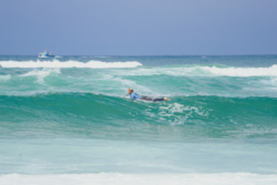 Copyright © Lu Hezareh (@luhezareh) 