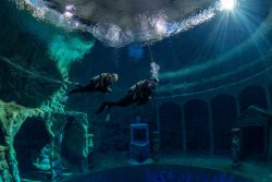 Diver under water | Copyright © Dive4Life