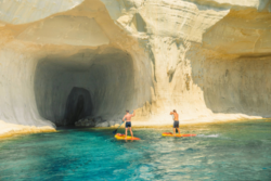 Copyright © Malta | Moses Dukes Media