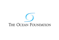Logo Ocean Foundation