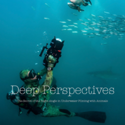 Copyright © Peter Löseke